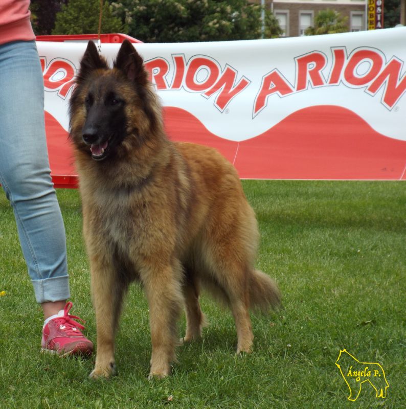 Queila Del Clamiu EXC1 Abierta hembras EXc1 y RCCPB